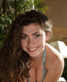 Hummingbird — фото 8